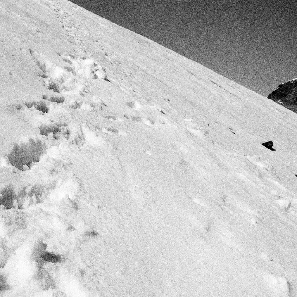 Sognando la vetta - 2008